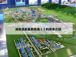 湖南目前最新疫情㊙️的简单介绍
