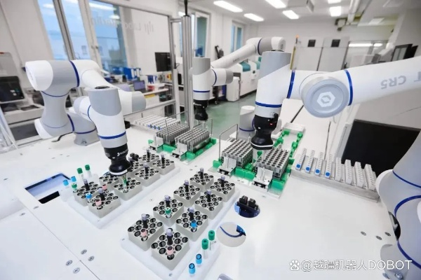 机器人走出实验室，从研发到实际应用的挑战与机遇